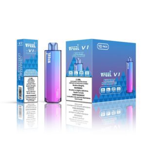 Blueberry Raspberry Ice - VFEEL V1 6000 - Haze Smoke Shop
