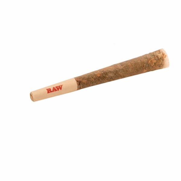 RAW Organic Pre-Rolled Cone 1¼ (75/Pk) - Haze Smoke Shop, Canada
