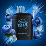 Level X Flavour Beast Boost 25K Pods - Haze Smoke Shop - Canada's #1 Smoke and Vape Shop