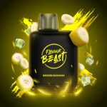 Level X Flavour Beast Boost 25K Pods - Haze Smoke Shop - Canada's #1 Smoke and Vape Shop