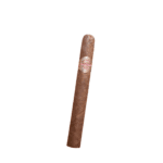 Quintero Panetela h/f